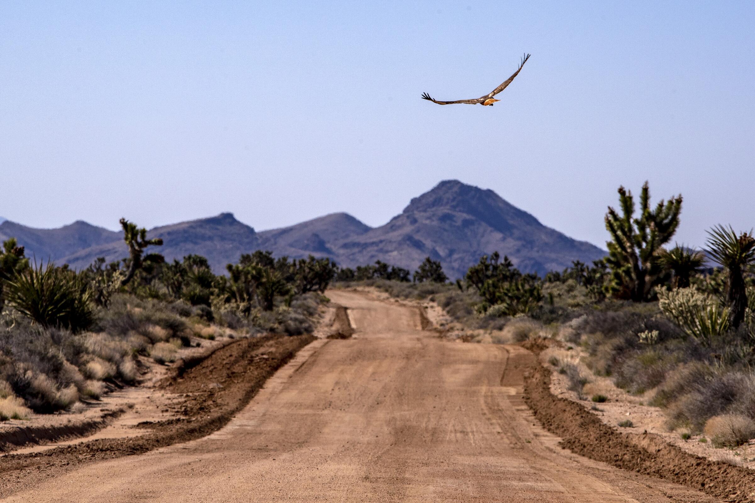 Contact Mojave Builders